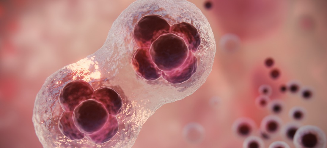 Некроз бедра: симптомы, диагностика, лечение