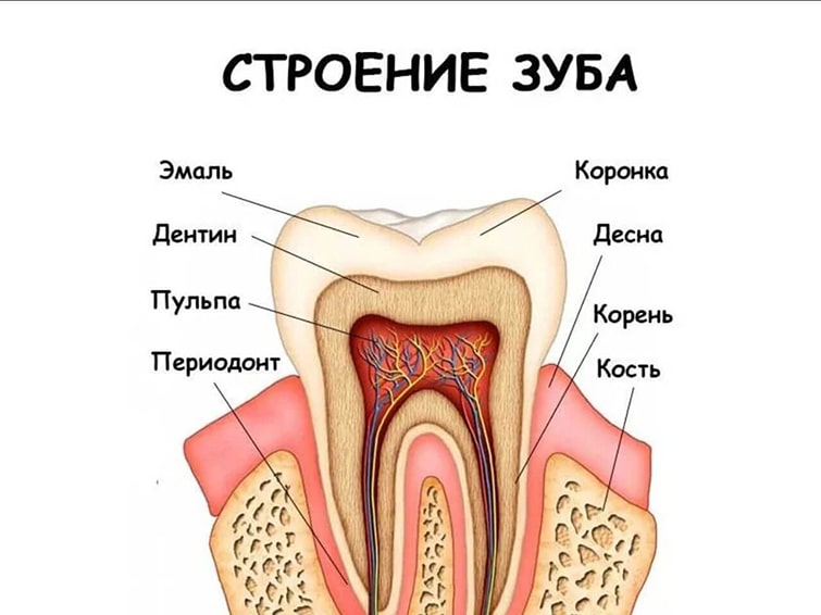 Почему зубы стали чувствительными