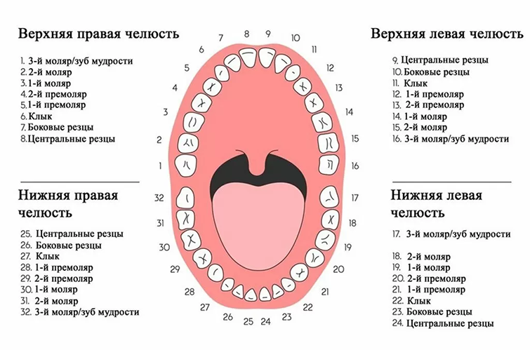 Удаление резцов