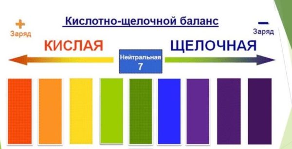 Соотношение кислот и щелочей в организме человека должно быть уравновешено