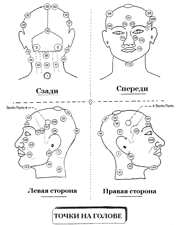  Расположение точек для хиджамы на голове