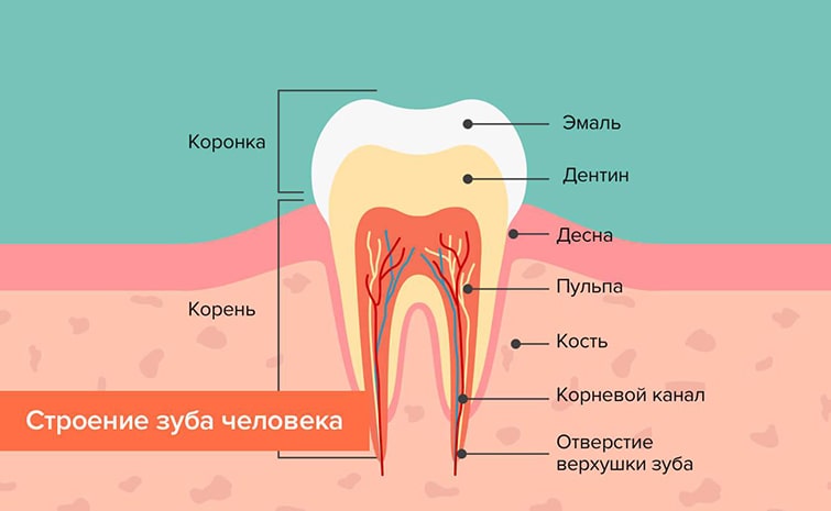Пульпит зуба